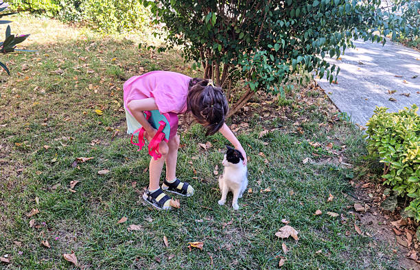 Happy Girl With Cute Cat