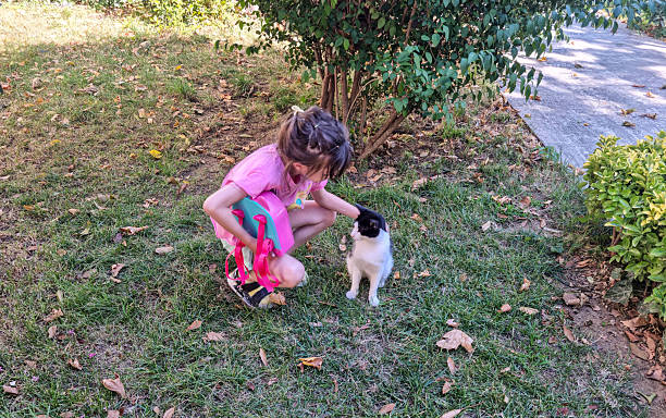 A beautiful little girl is playing with her cat on a colorful slide. High quality photo