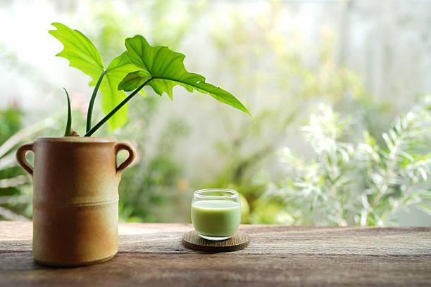 Matcha in a glass cup with potted plant on rustic wooden table