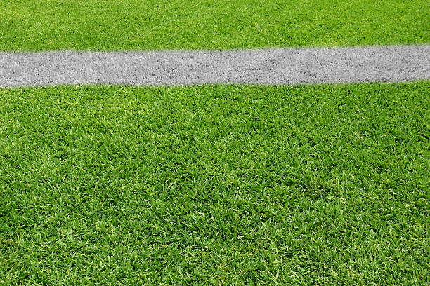 An orange traffic cone casts a shadow on the green grass, creating an ideal scene for outdoor sports