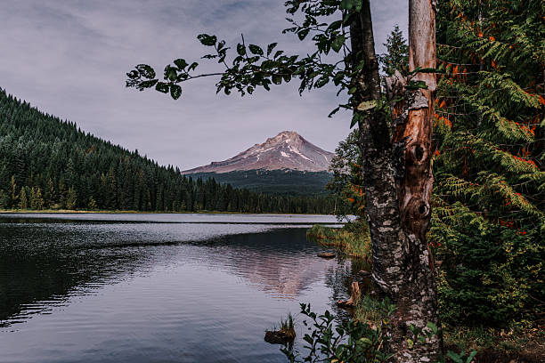 istock Trillium Lake and Mount Hood 2225663625