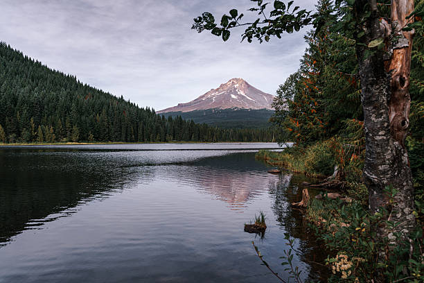 istock Trillium Lake and Mount Hood 2225663669
