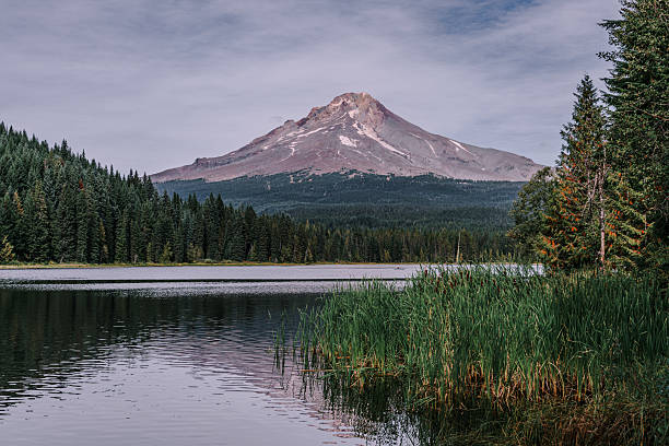 istock Trillium Lake and Mount Hood 2225663671