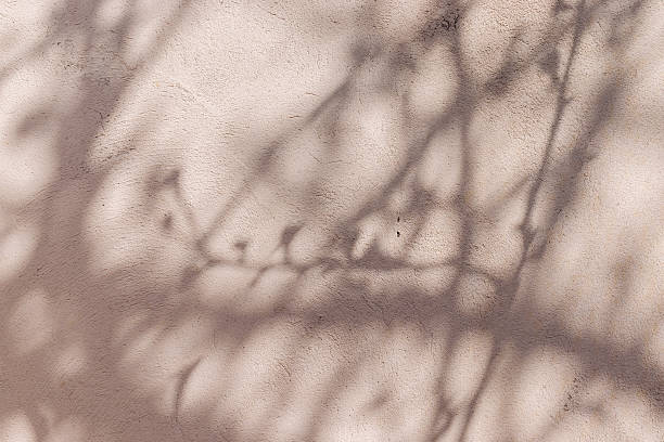 istock Shadows of tree branches on light pink plastered concrete wall on summer day 2225670007