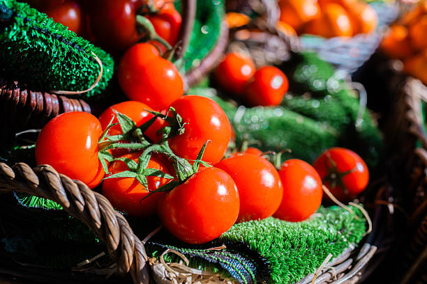 Ripe red tomatoes on the vine, nestled in a wicker basket on a bed of artificial grass, creating a vibrant display