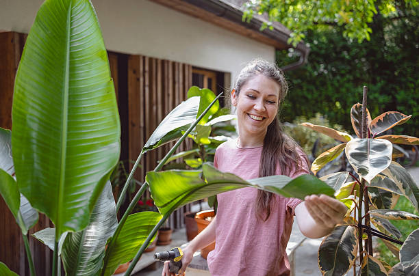 istock Young Caucasian Female Caring for Vibrant Plants in Backyard 2225679395