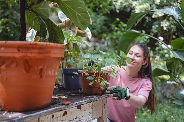 istock Young Caucasian Female Tending to Plants in Lush Backyard Setting 2225679466