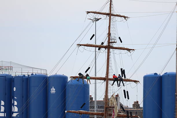 hermione off La Rochelle