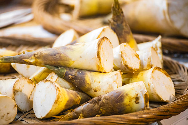The bamboo shoots are encased in layers of light brown husks