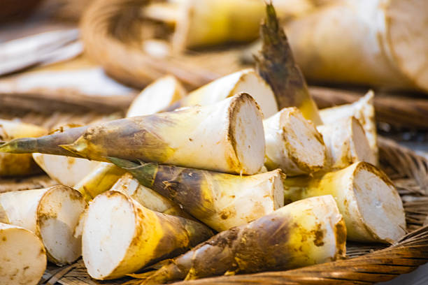 istock Bounty of the Earth: Freshly Harvested Green Bamboo Shoots 2225684718