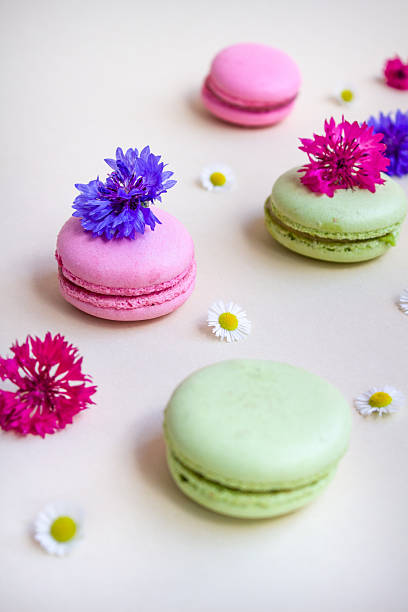 A delightful flat lay of colorful green and pink macarons paired with wildflowers including daisies