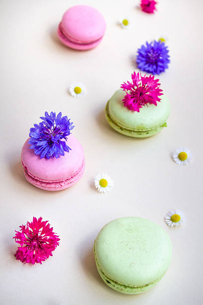 A delightful flat lay of colorful green and pink macarons paired with wildflowers including daisies