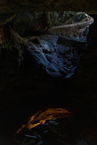 istock Carlsbad Caverns National Park 2225693217