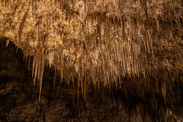 istock Carlsbad Caverns National Park 2225693225