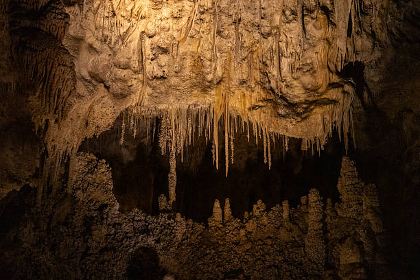 istock Carlsbad Caverns National Park 2225693246