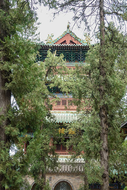 istock A Venerable Pagoda Seen Through the Trees 2225695211