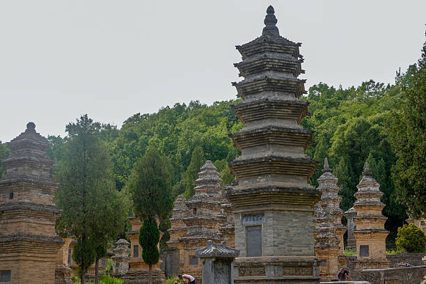 An ancient stone stupa, or funerary pagoda, stands amidst the trees in the Pagoda Forest of the Shaolin Temple. These pagodas house the remains of eminent monks from throughout the temple's long history. This particular stupa's weathered stone and simple, elegant design speak to its great age. It is a solitary monument to a life dedicated to Zen Buddhism, standing silently in a forest of similar memorials.