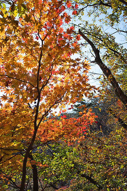 istock Weekend Hiking in Autumn Sunshine Mountains 2225697289