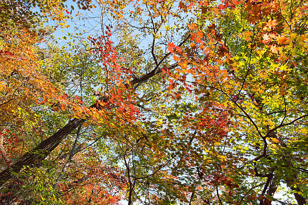 istock Weekend Hiking in Autumn Sunshine Mountains 2225697293