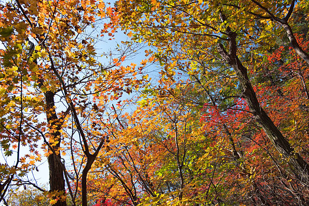 istock Weekend Hiking in Autumn Sunshine Mountains 2225697302