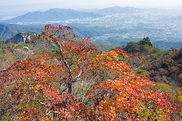 Seoul Bukhansan Mountains, Korea
