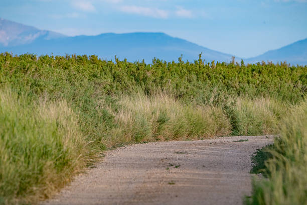 Single lane gravel driving path around Lake John near Walden, Colorado, USA.