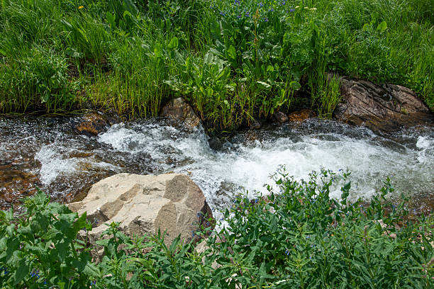 Cool water bubbling stream along dirt road