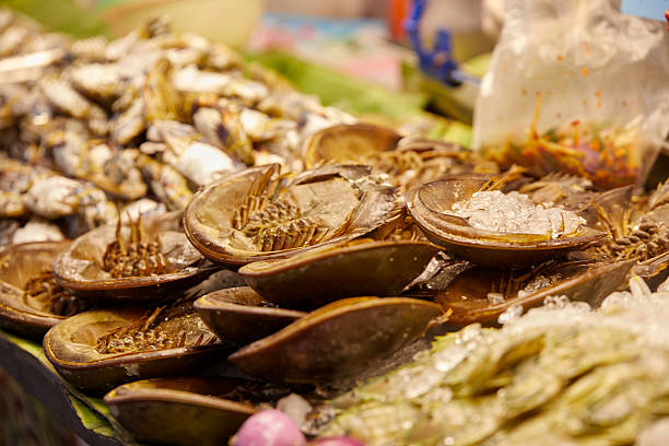 istock Horseshoe crab or Limulus polyphemus in seafood market 2225709312