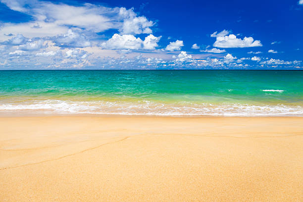 istock Clear water beach with beautiful sky at Phuket beach, Thailand. Copy space background 2225711907