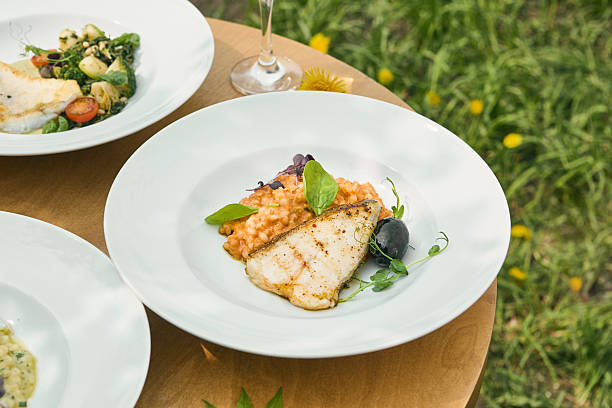istock Halibut steak with tomato bulgur, bright daylight, minimal overhead plate presentation 2225713950