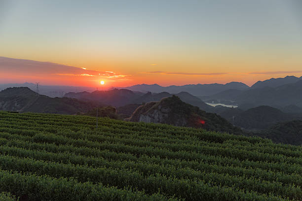 Sunrise in the mountains