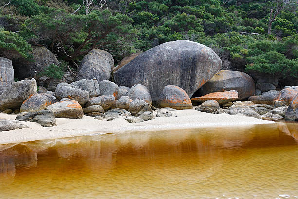 istock Wilsons Promontory June 2023 2225720700