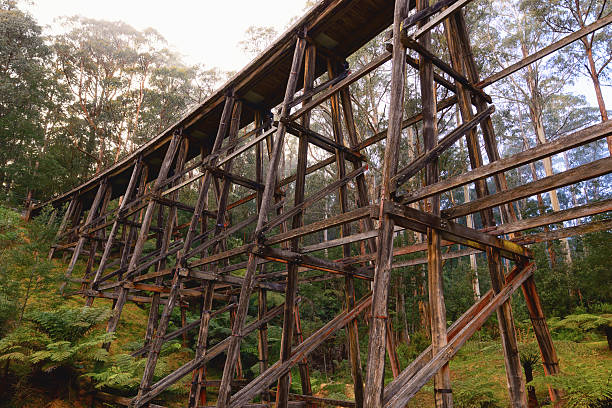 Noojee Trestle Bridge Gippsland