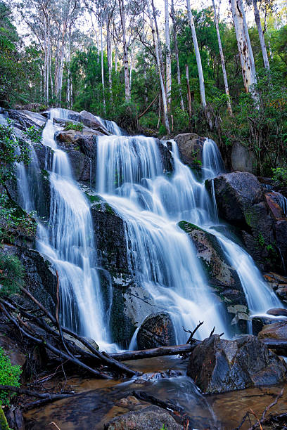 istock Toorongo Falls_Noojee Trestle Bridge October 2023 2225724084