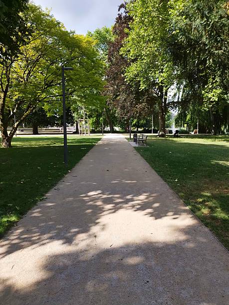 istock Natural Park Trail with Benches and Tall Trees 2225729828