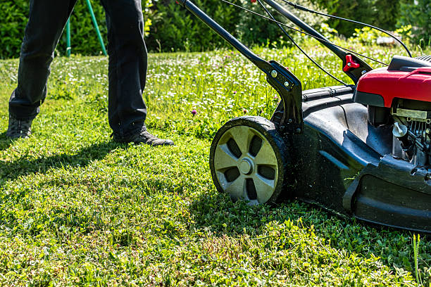 istock Mowing the lawn with a machine in a garden 2225737467