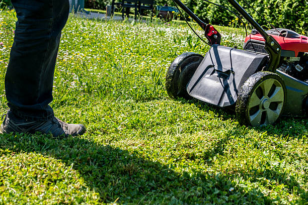 istock Mowing the lawn with a machine in a garden 2225737590