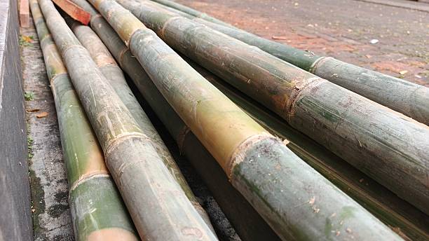 istock Bamboo will be processed to become flagpoles 2225741851