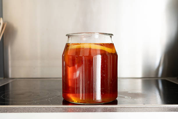 Fermenting kombucha in glass jar on kitchen counter.