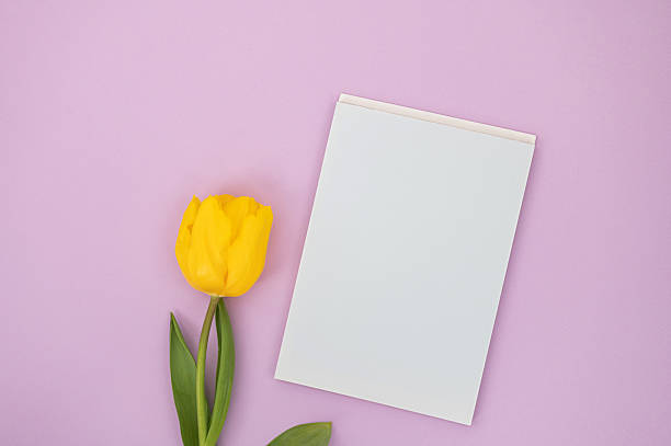 istock Yellow tulip with blank notepad on soft pink background 2225742667