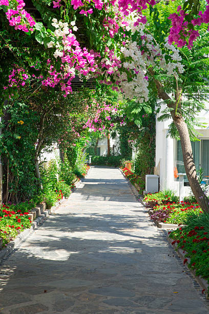 landscape garden hotel resorts Turkey beautiful tree palm