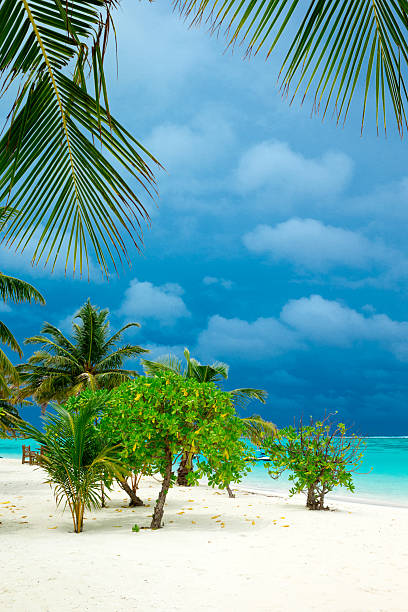 blue sea and beautiful sky. sea beach