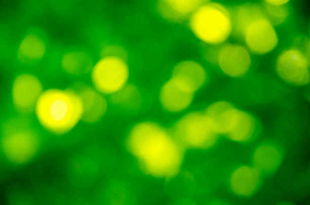 Green bokeh background from nature forest out of focus