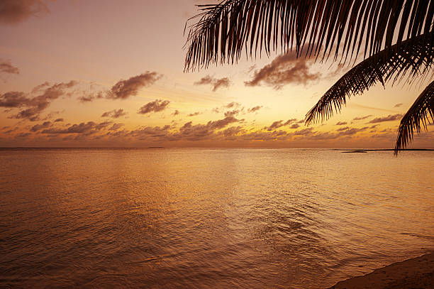 istock Tropical paradise beach and dramatic sky during the sunset 2225749098