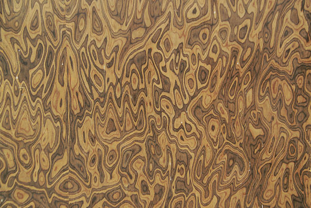 Texture and background of sharp and detailed real wood photographs with natural grain, ideal for use as a surface or background.