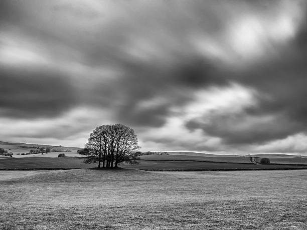 istock Black and white landscape of bare trees beneath dramatic cloudscape, Malhamdale, Yorkshire Dales National Park, North Yorkshire, England, Britain 2225749921