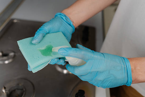 istock Housewife hand squeezing liquid detergent onto sponge, getting ready to cleaning kitchen gas stove, ensuring hygienic and spotless environment, close-up. 2225750151