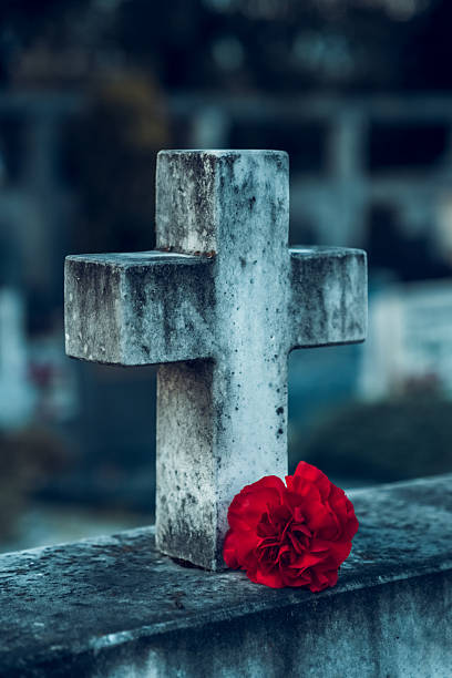 A single red carnation lies on a weathered cross gravestone in a cemetery, symbolizing remembrance, mourning, loss, and respect for the deceased.