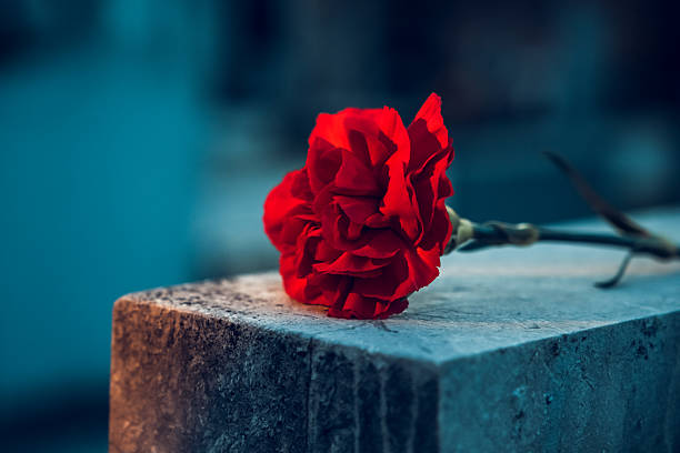 istock Red carnation on gravestone in cemetery 2225750488