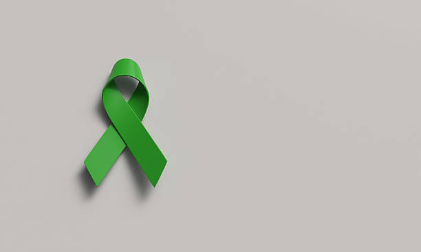 istock ribbon bow green color object icon copy space white isolate background world mental health day october, awareness support help hope medical anxiety ribbon bow green color copy space patient depression 2225753945